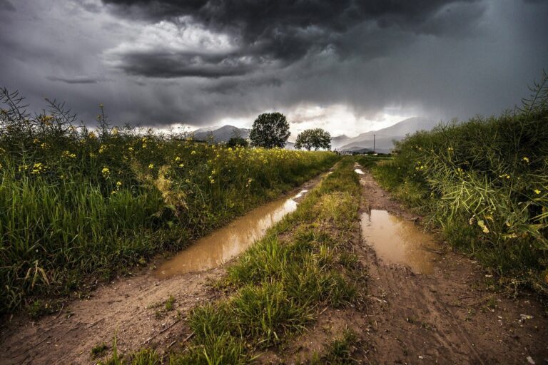 Cambio climático Chequia
