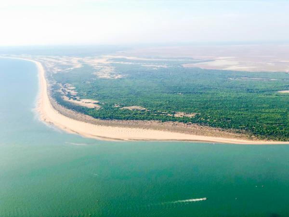 Doñana Pleistoceno Superior