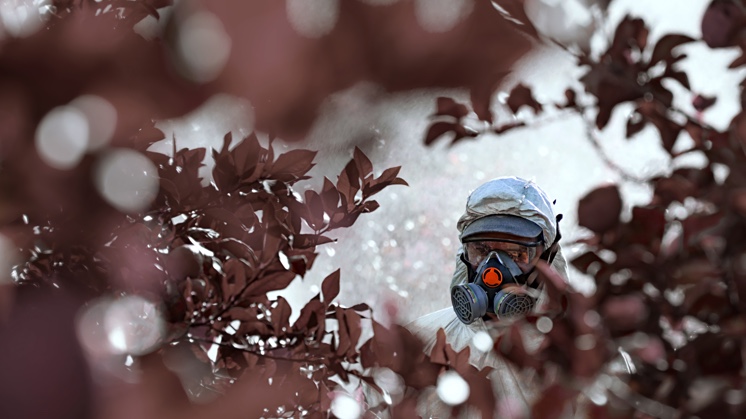 Ecocidio Unión Europea