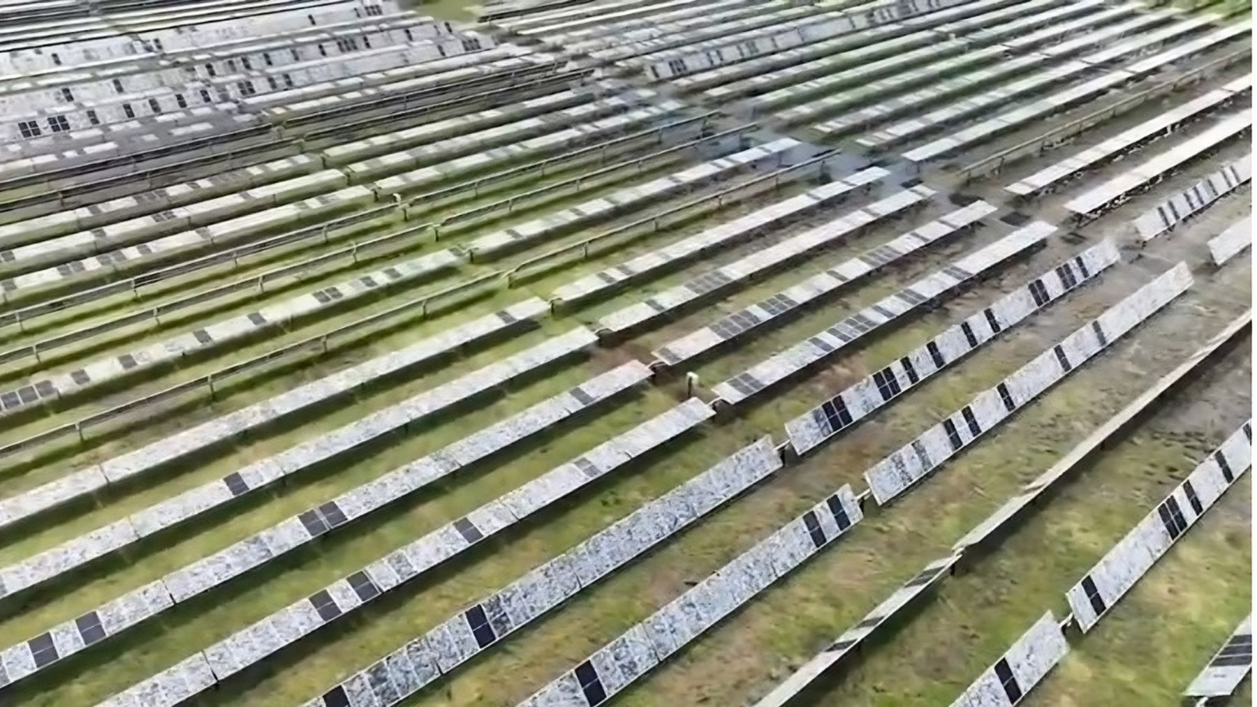 paneles solares Estados Unidos