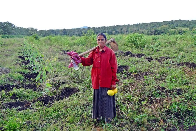 Día Internacional de la Lucha Campesina 2024