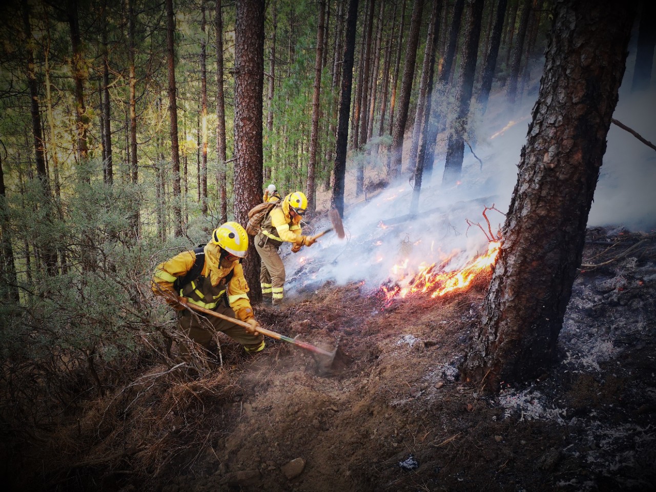 Incendio forestal MITECO