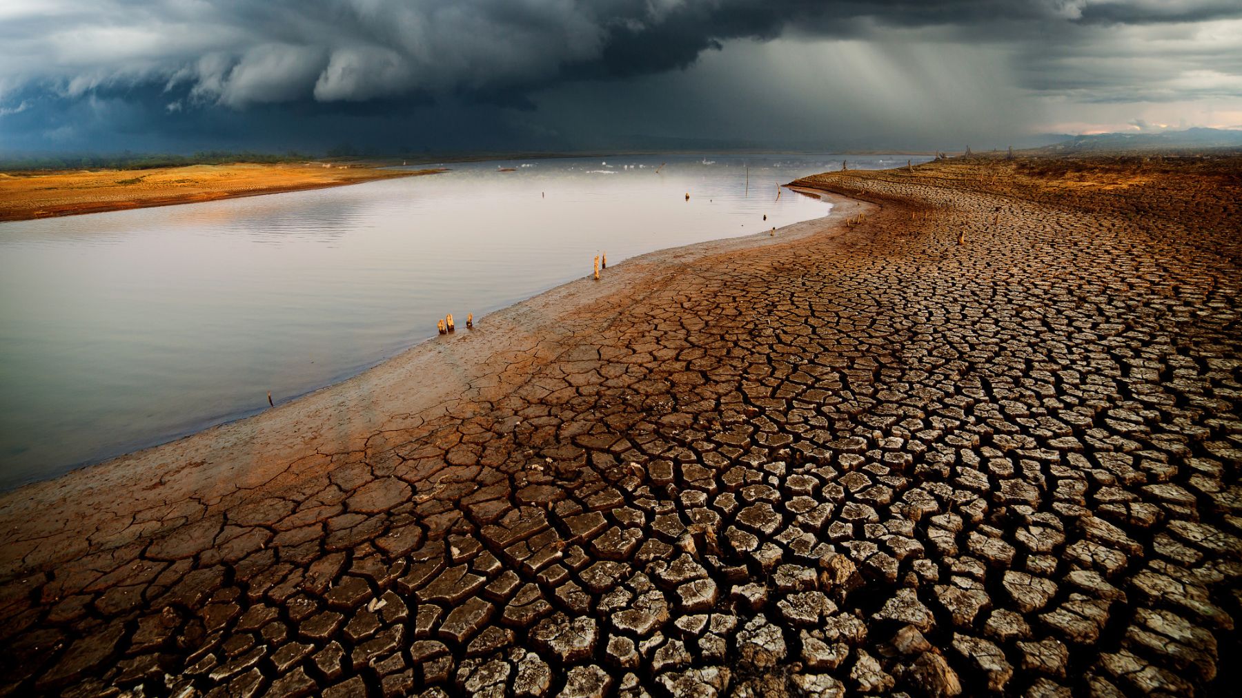 ONU cambio climatico