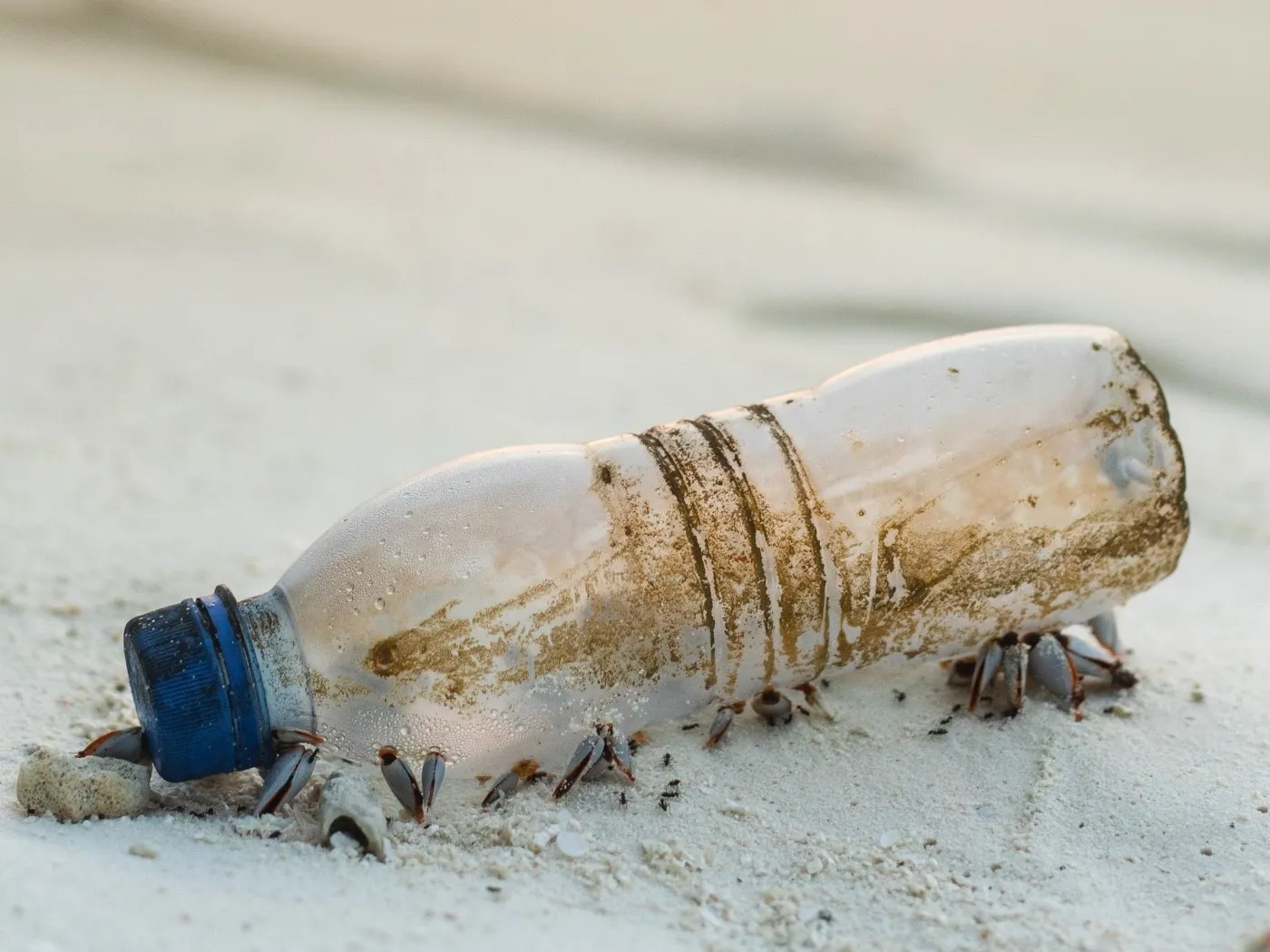 Plásticos de un solo prohibir