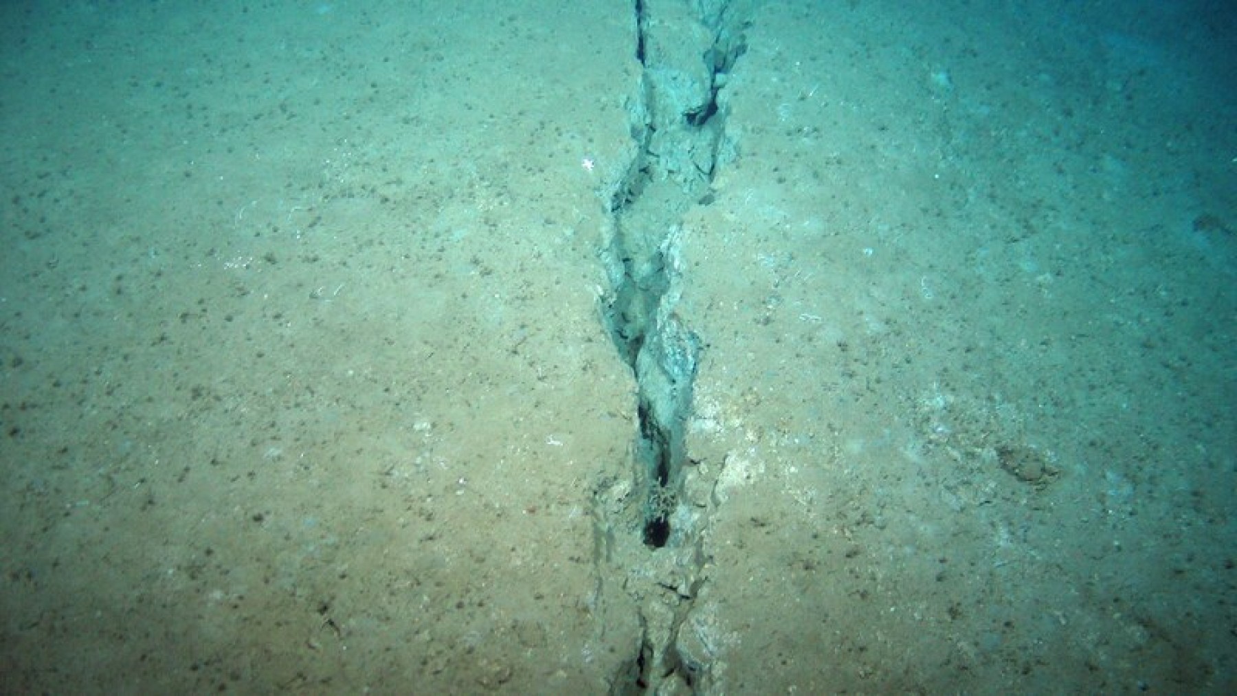 Descubrimiento fondo del mar