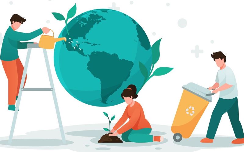 Declaración de Tbilsi formación ambiental