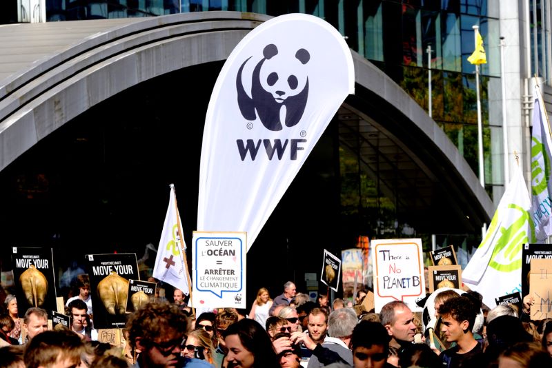 wwf claves eurodiputados