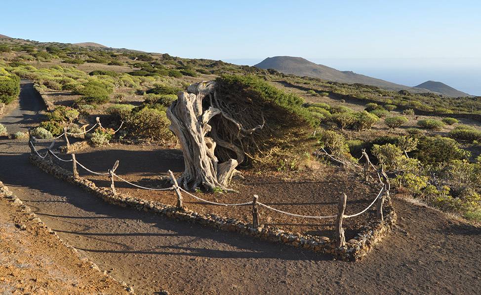 Ecoturismo El Hierro Canarias