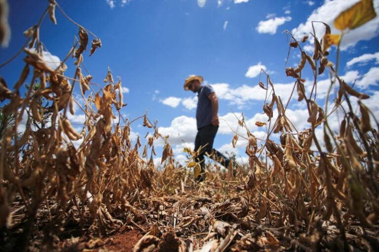 El Niño cambio climático América Latina