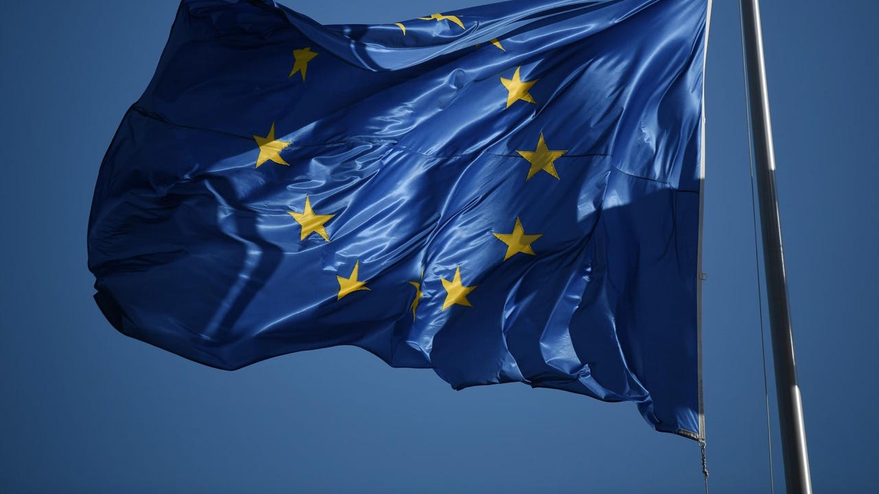 Elecciones Europeas 2024 Programa por la Tierra organizaciones ecologistas