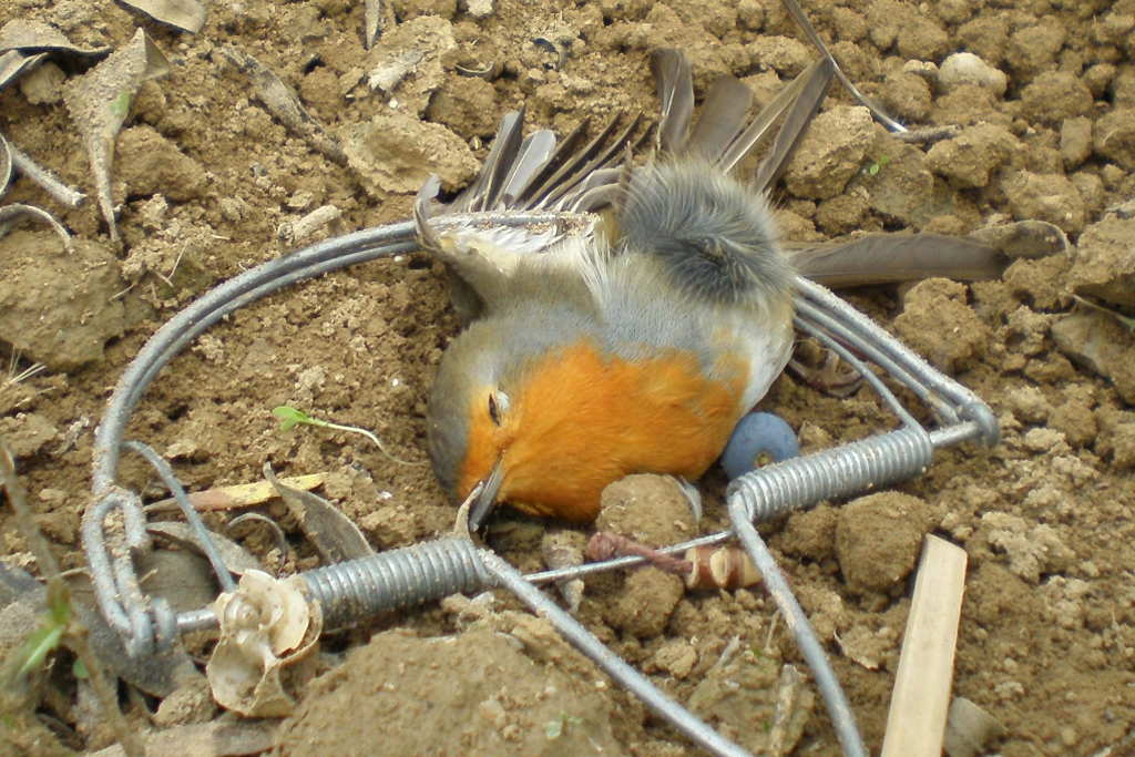 LIFE Guardianes de la Naturaleza Premio Europeo Natura 2000