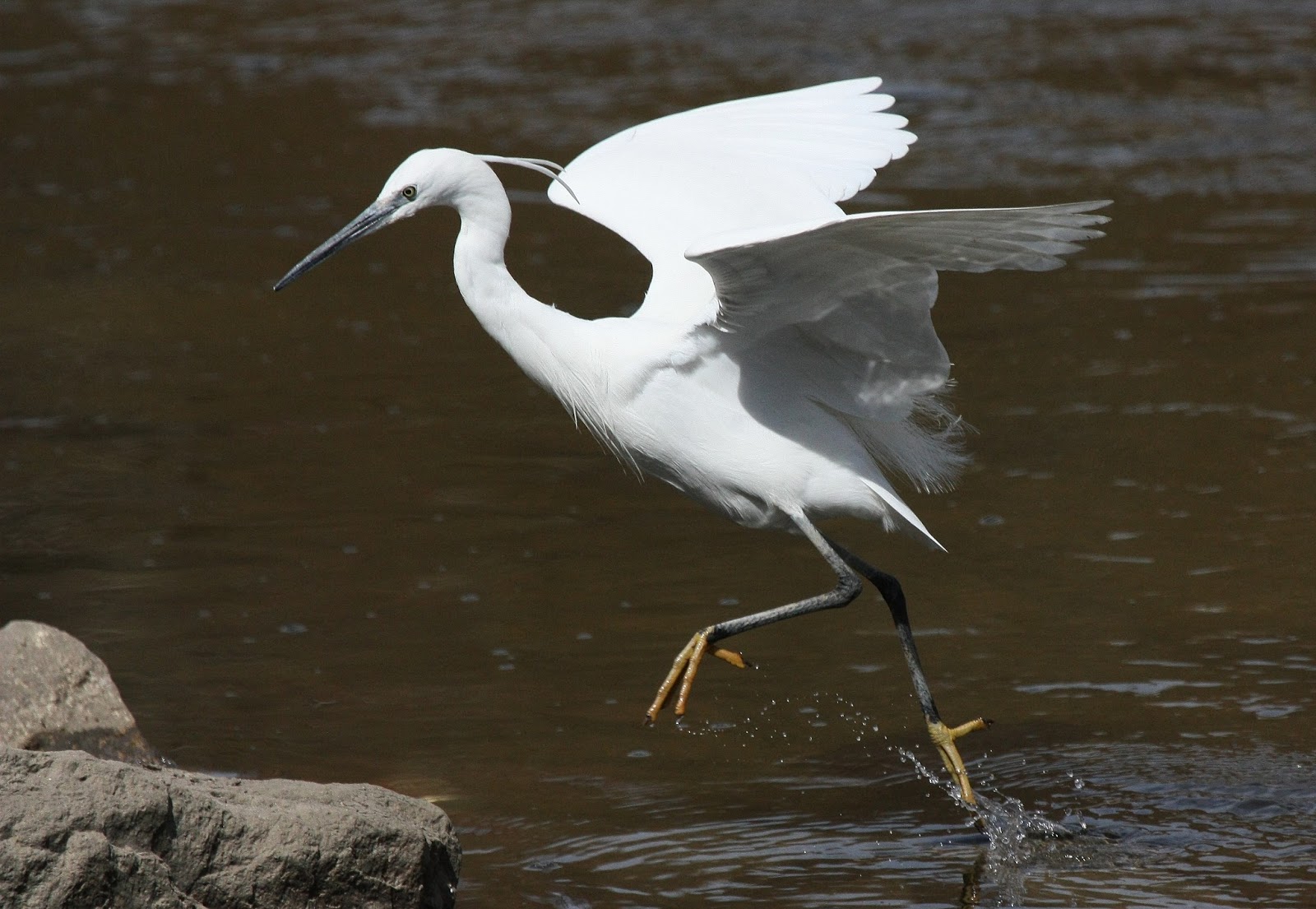 Madrid Río biodiversidad ayuntamiento