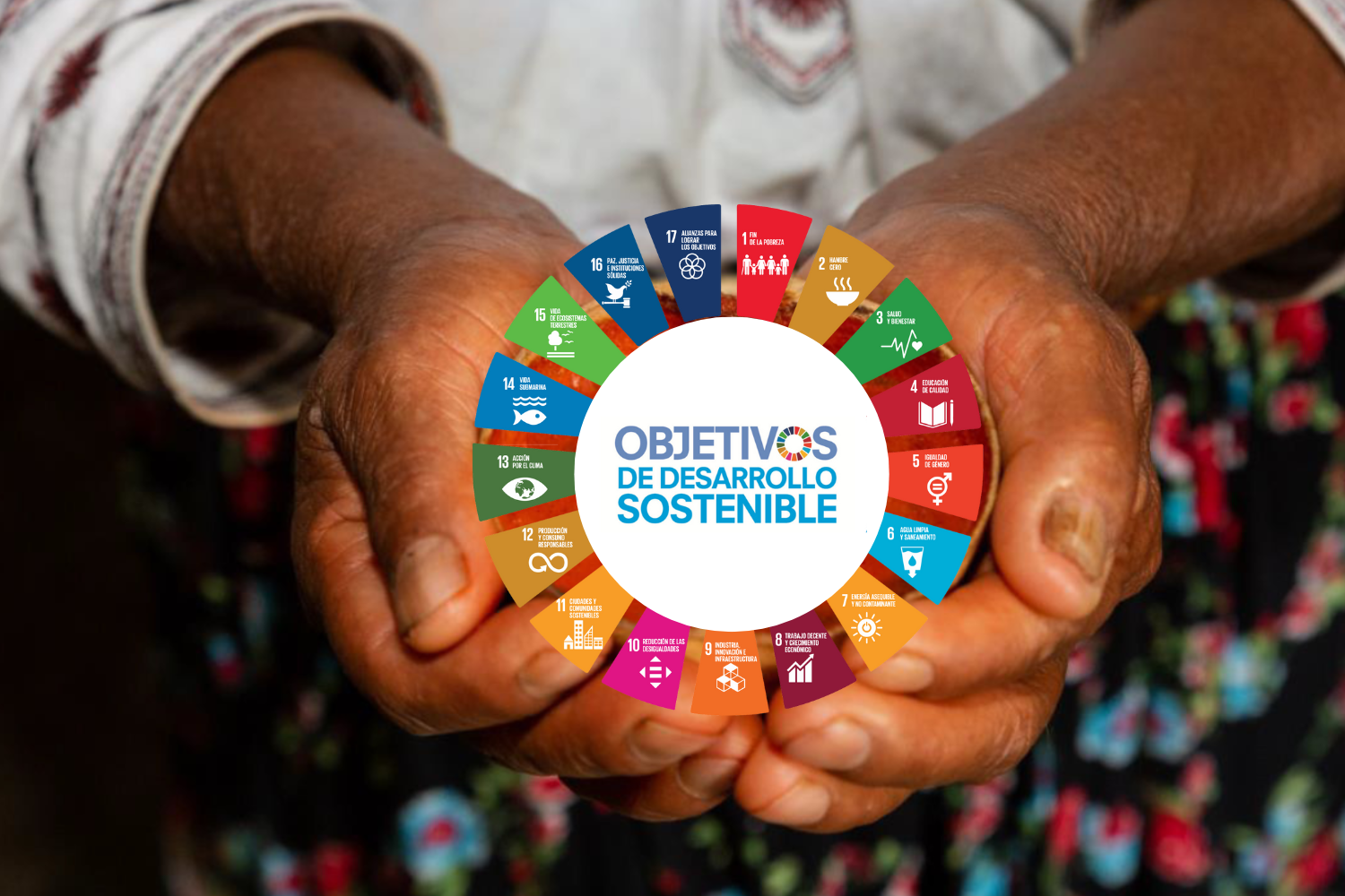 ODS plataforma iberoamericana Agenda 2030