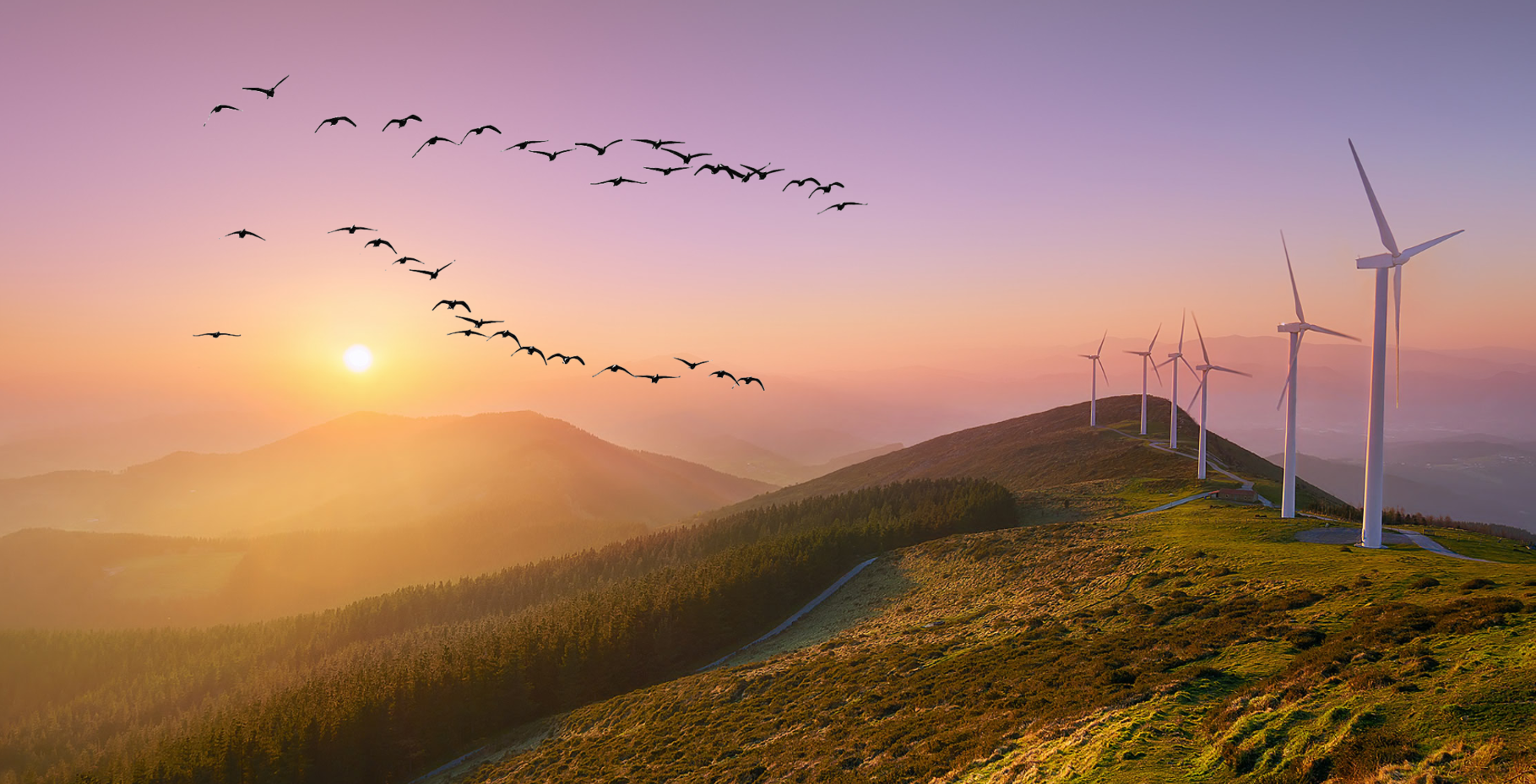 Premios Eolo 2024 Asociación Empresarial Eólica (AEE) energía eólica