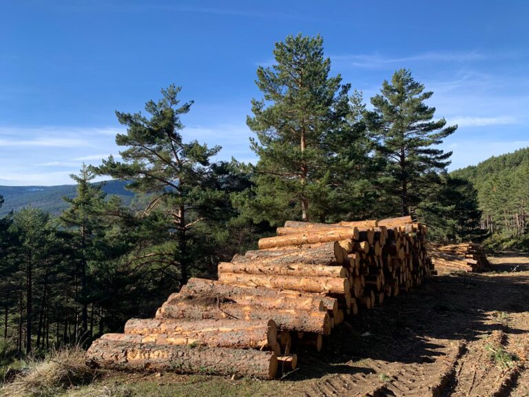 Proyecto eco2for gestión forestal cambio climático Fundación Biodiversidad
