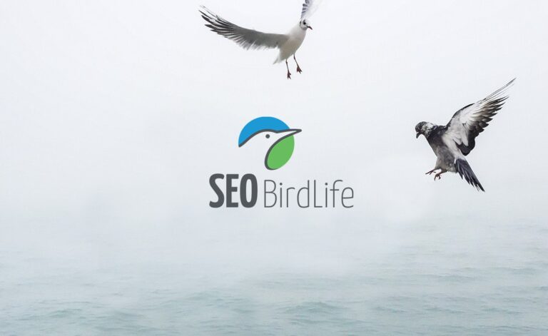 SEO/BirdLife setenta años aves