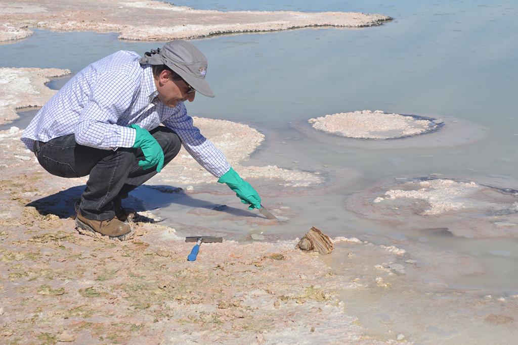 Salar de Atacama biodiversidad microbiana Peine