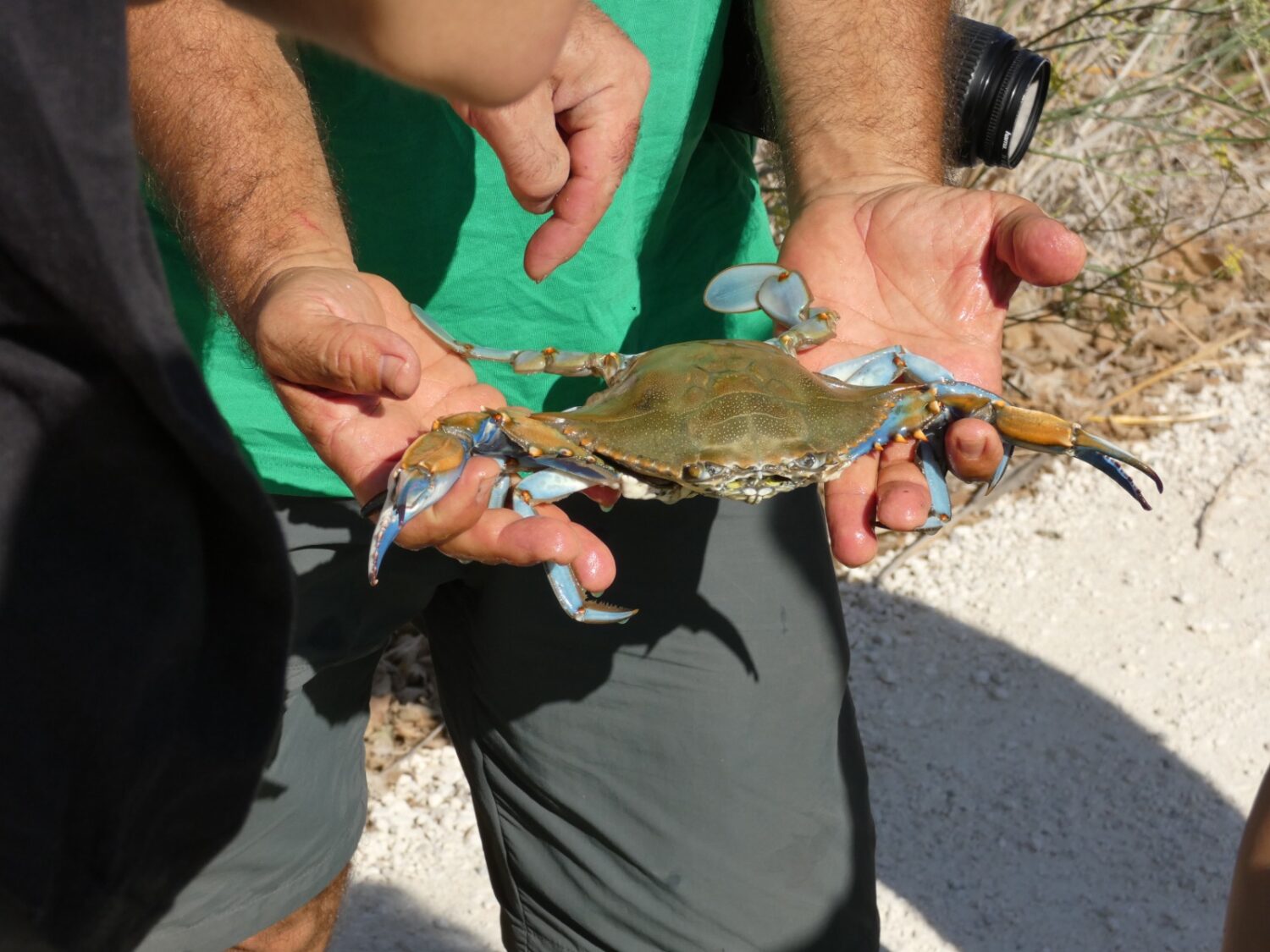 Semana de las Especies Exóticas Invasoras 2024 ANSE