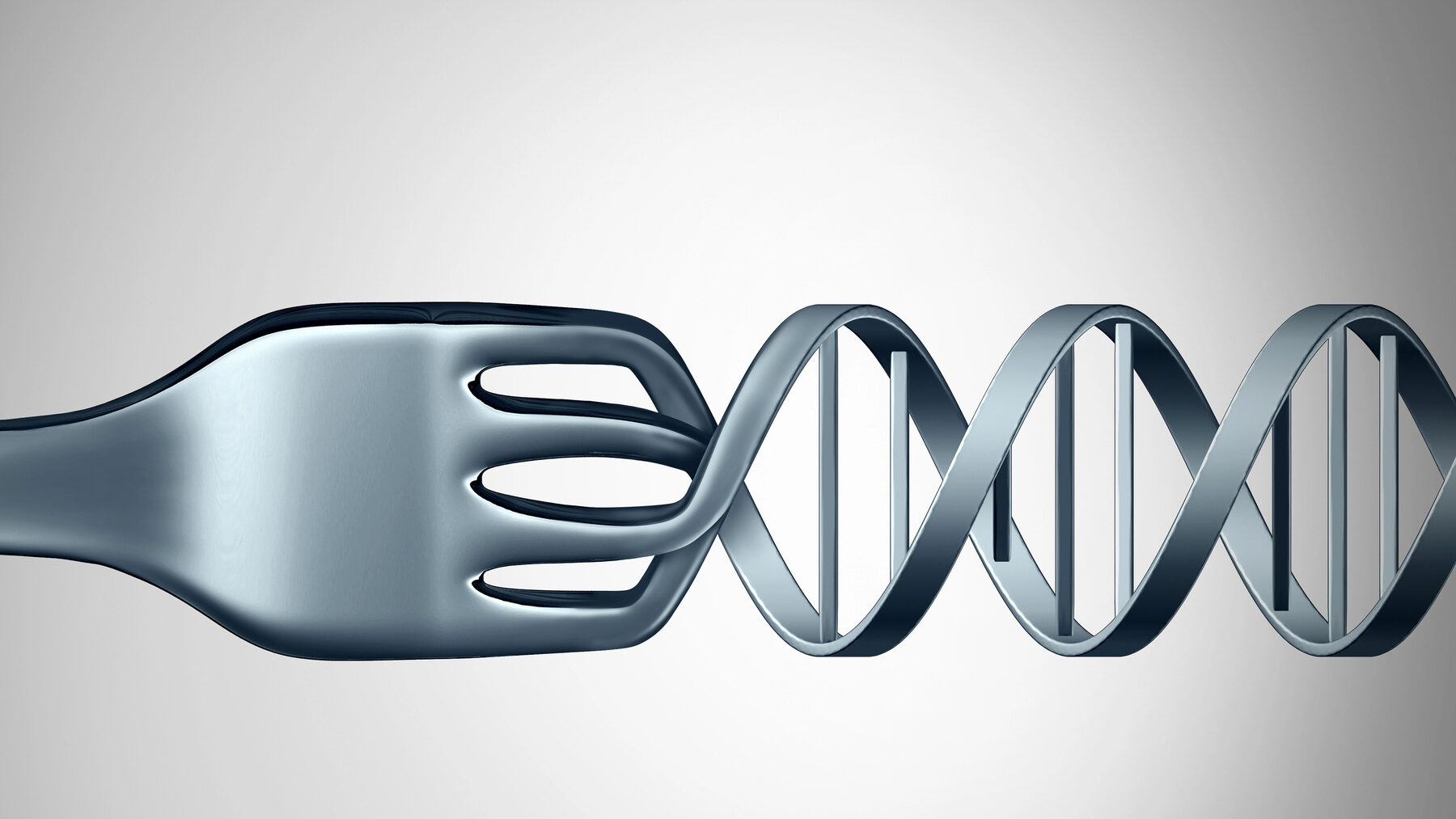 Transgénicos ¿sabes lo que comes