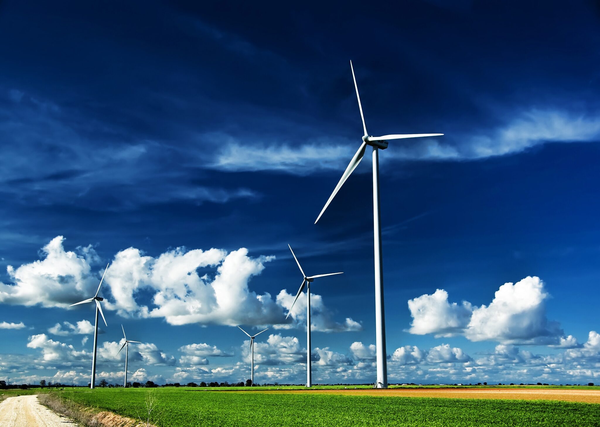 #WindTalent sector eólico empleo verde