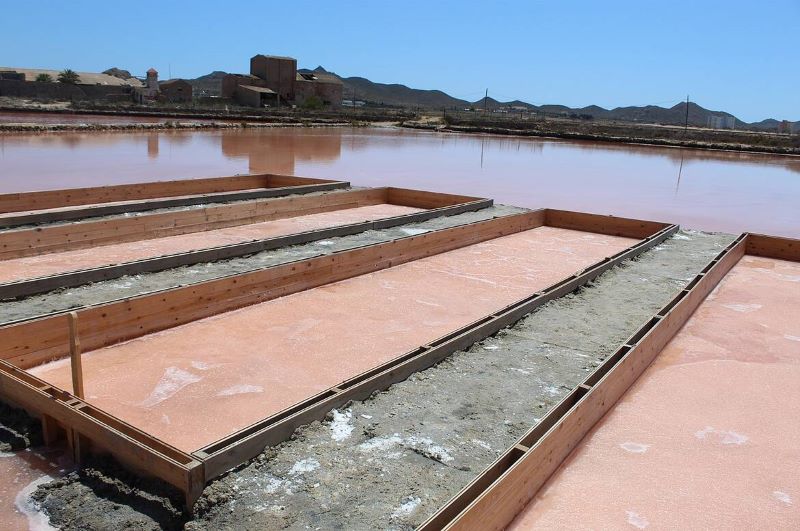 Salinas Proyecto RESALAR ANSE