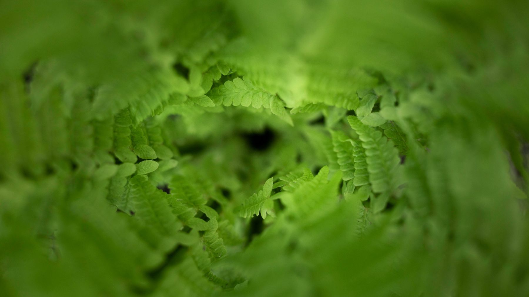 Fotosintesis artificial