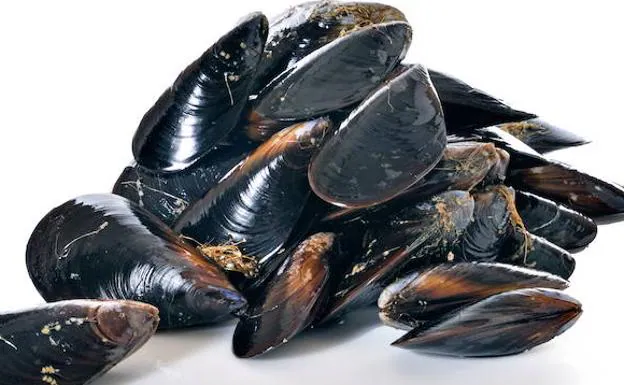 Mejillón bioeconomía circular