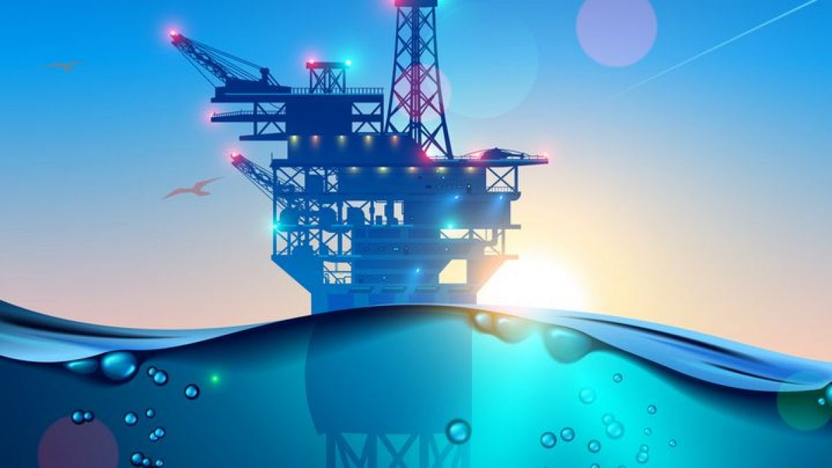 Seas At Risk moratoria minería submarina