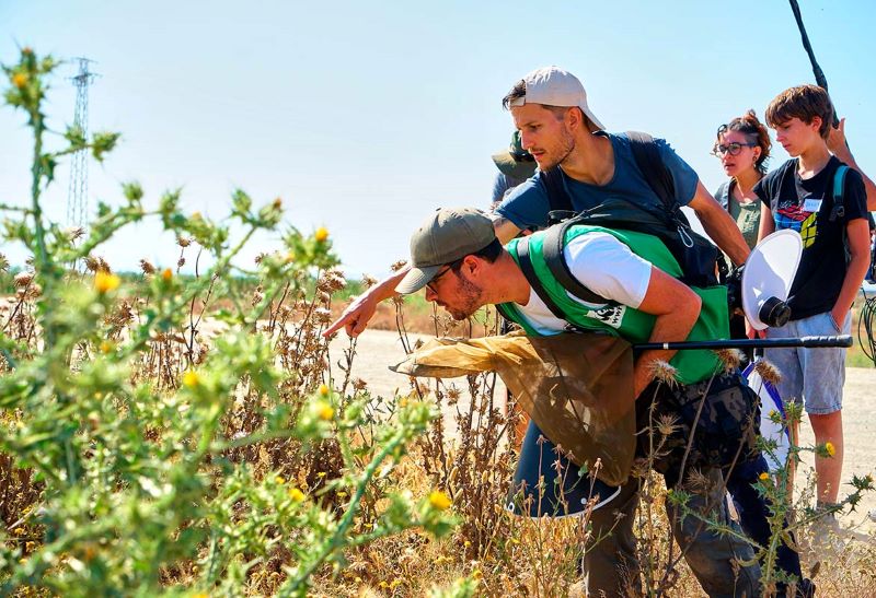 BioBlitz Doñana