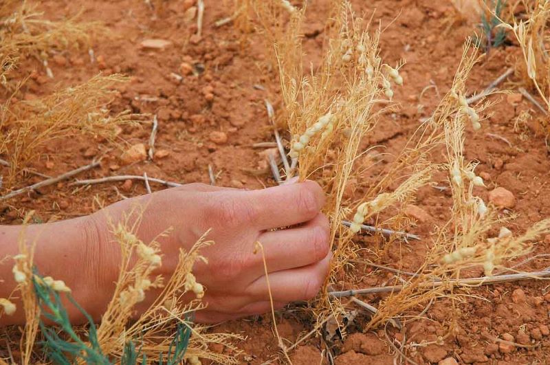 Foro de Acción Rural medio rural