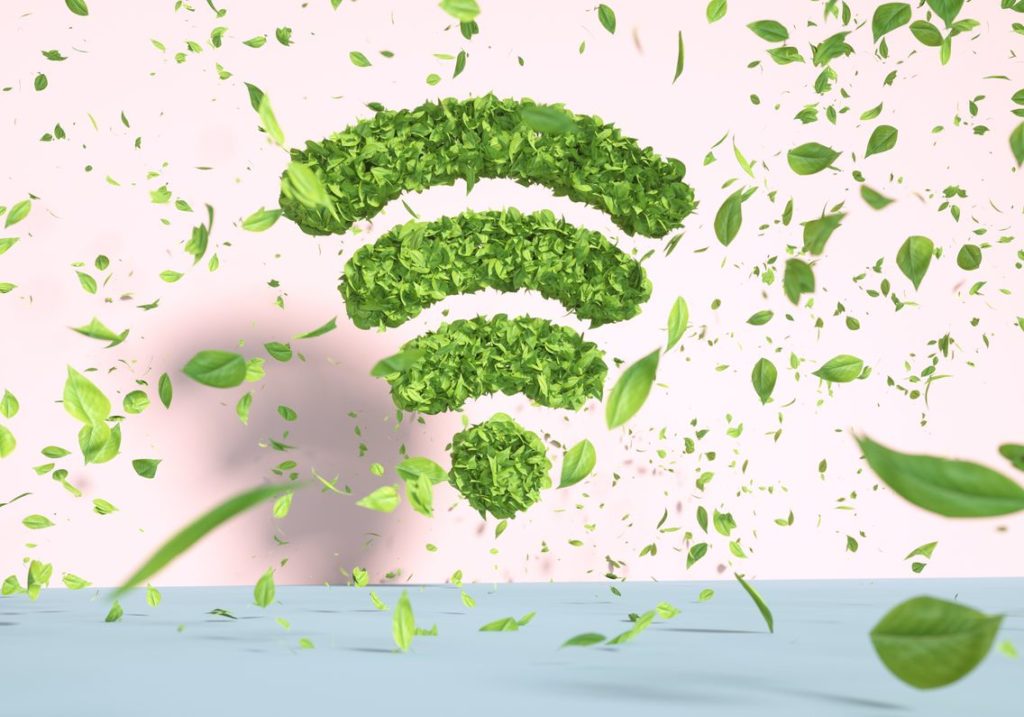 Transición ecológica digitalización