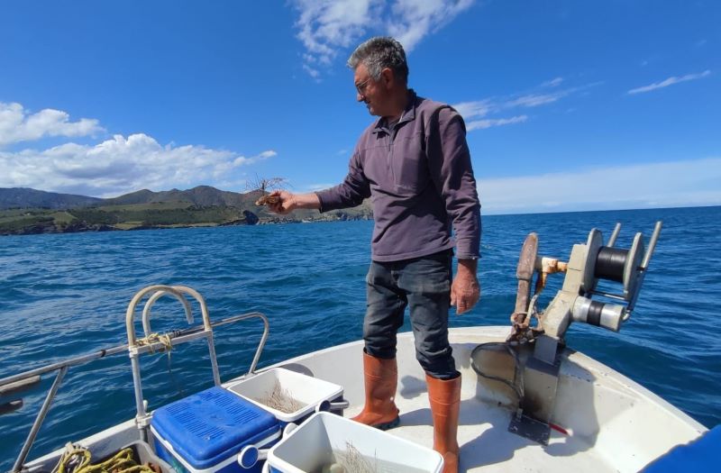 proyecto LIFE ECOREST