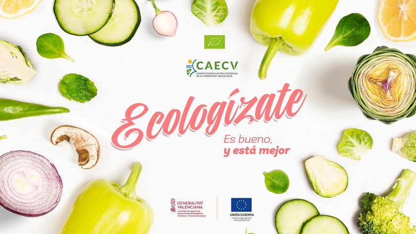 Ecoauténticos CAECV