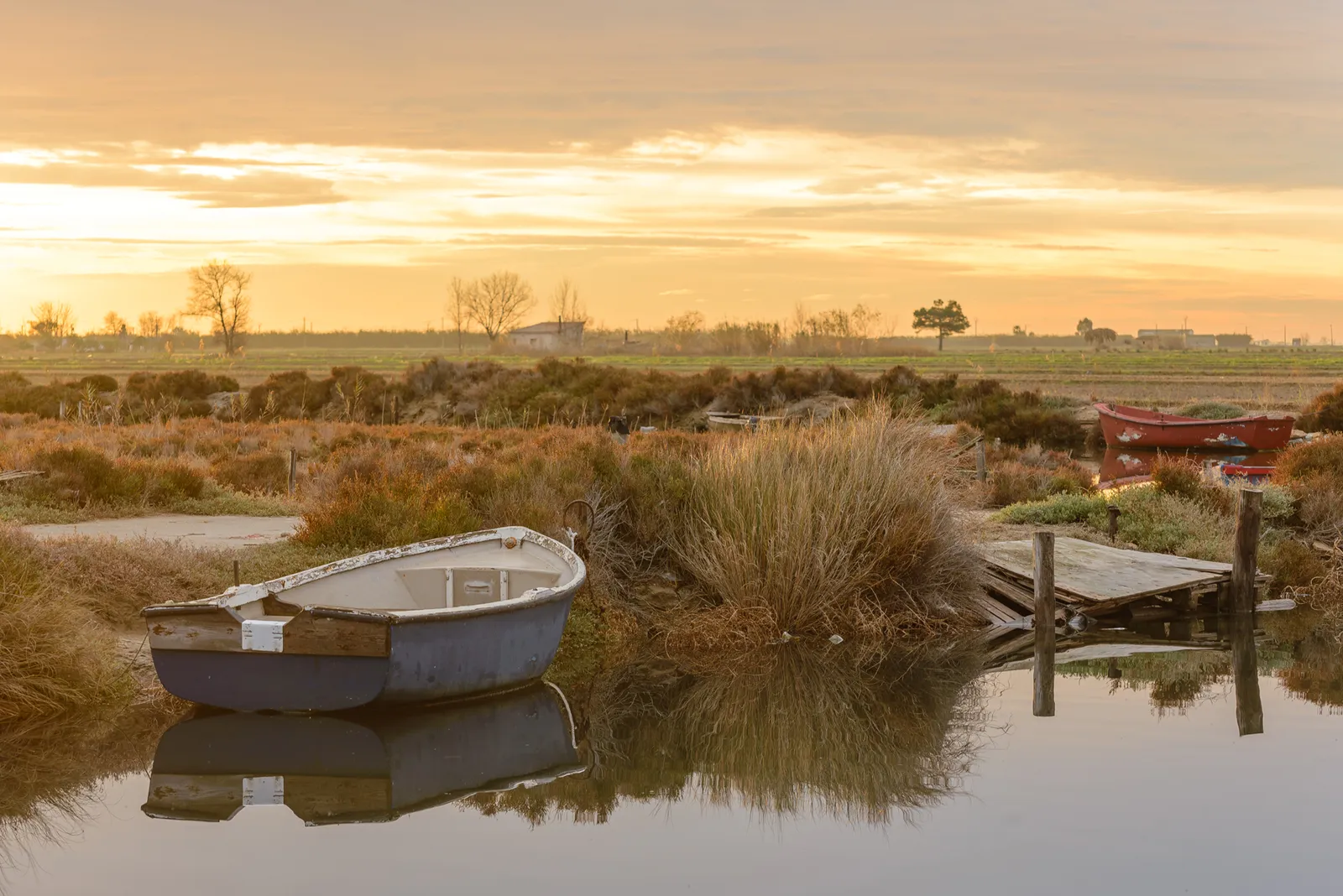 Delta del Ebro cambio climático humedal