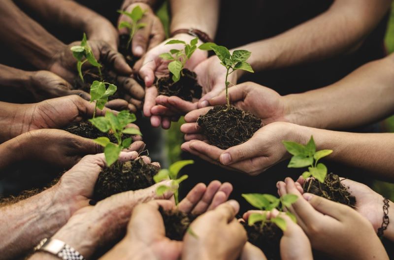 estándares para la restauración de hábitats