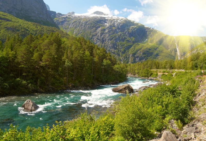 Día Mundial del Medio Ambiente 2024