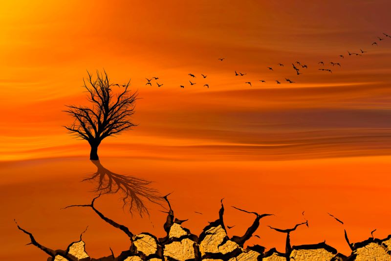 Día Internacional de la lucha contra la Desertificación y la Sequía 2024