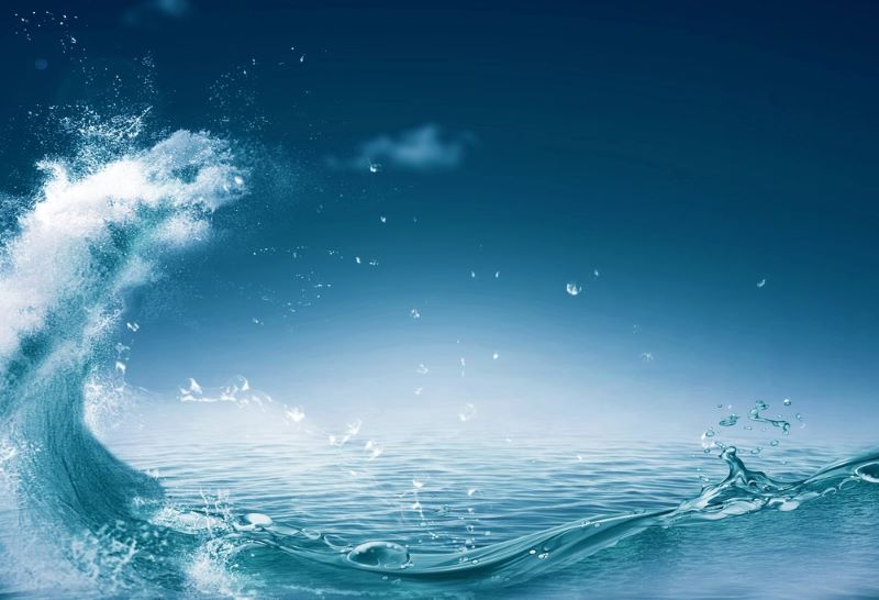 Día Mundial de los Océanos 2024 Oceana