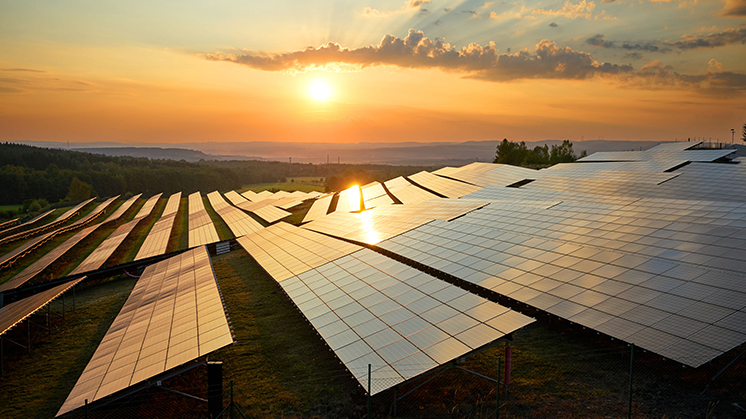 Día Internacional del Sol 2024 energía solar