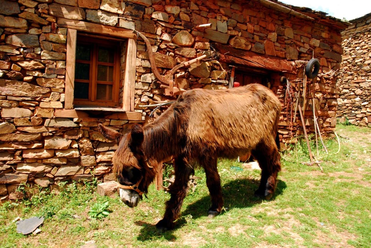 Día Mundial del Medio Ambiente 2024 educación ambiental Umbralejo