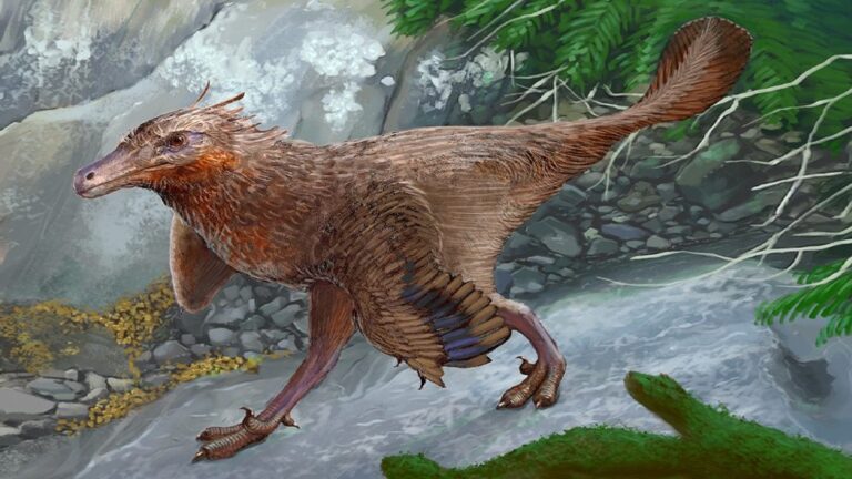 Diuqin Lechiguanae dinosaurio Argentina