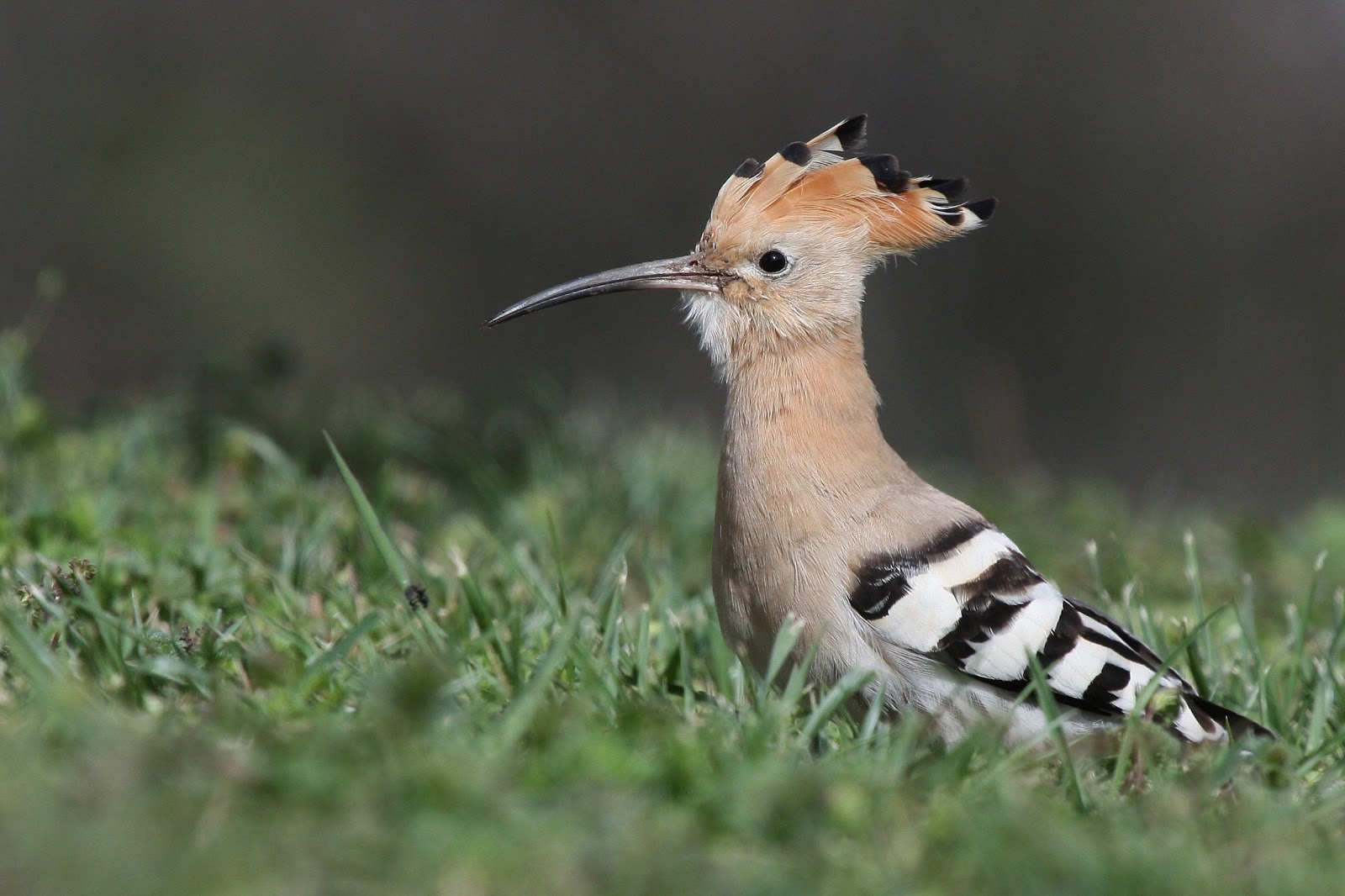 Iluminación río Manzanares Madrid