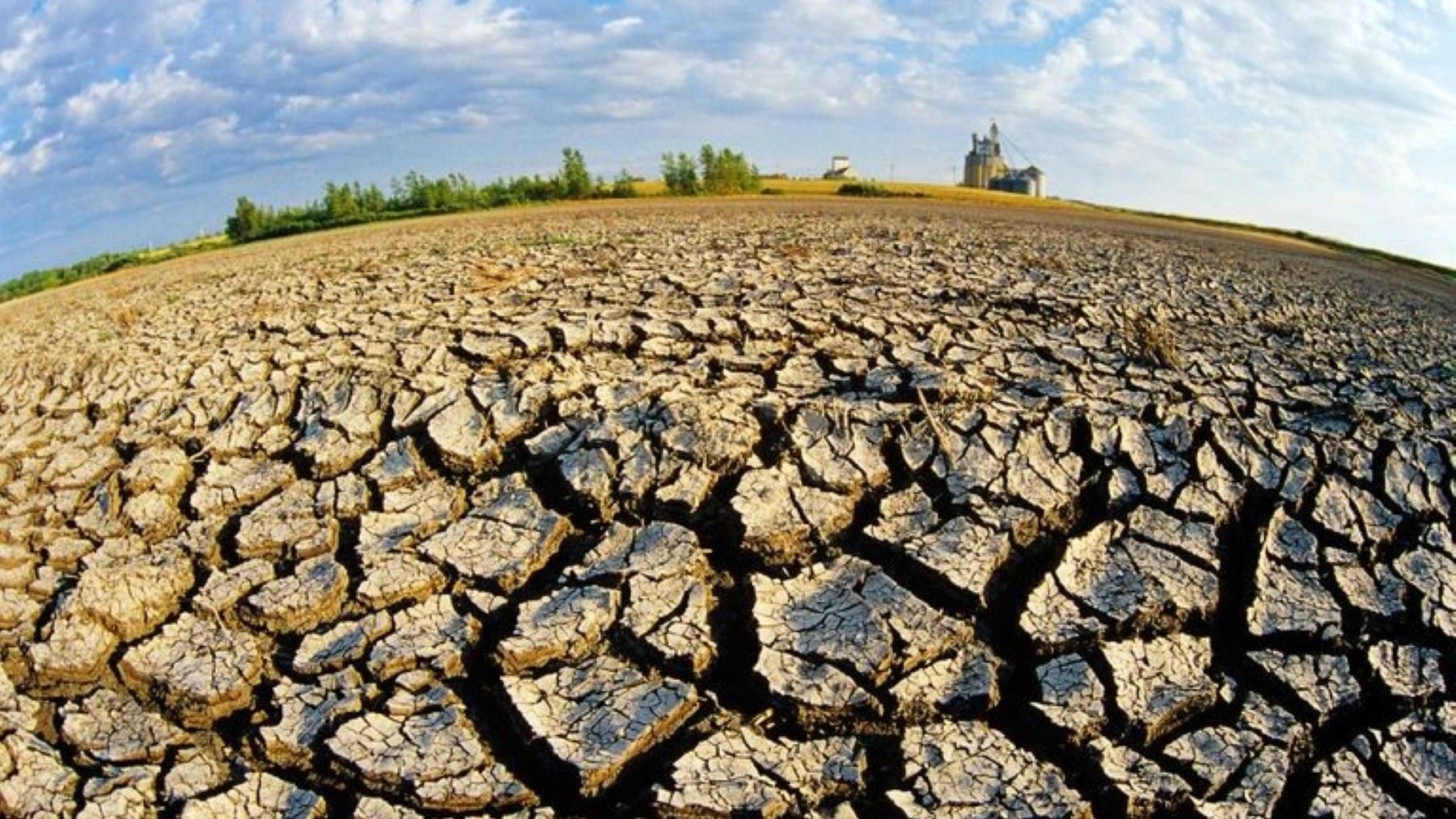 ¿Qué es la desertificación y por qué amenaza nuestros suelos?
