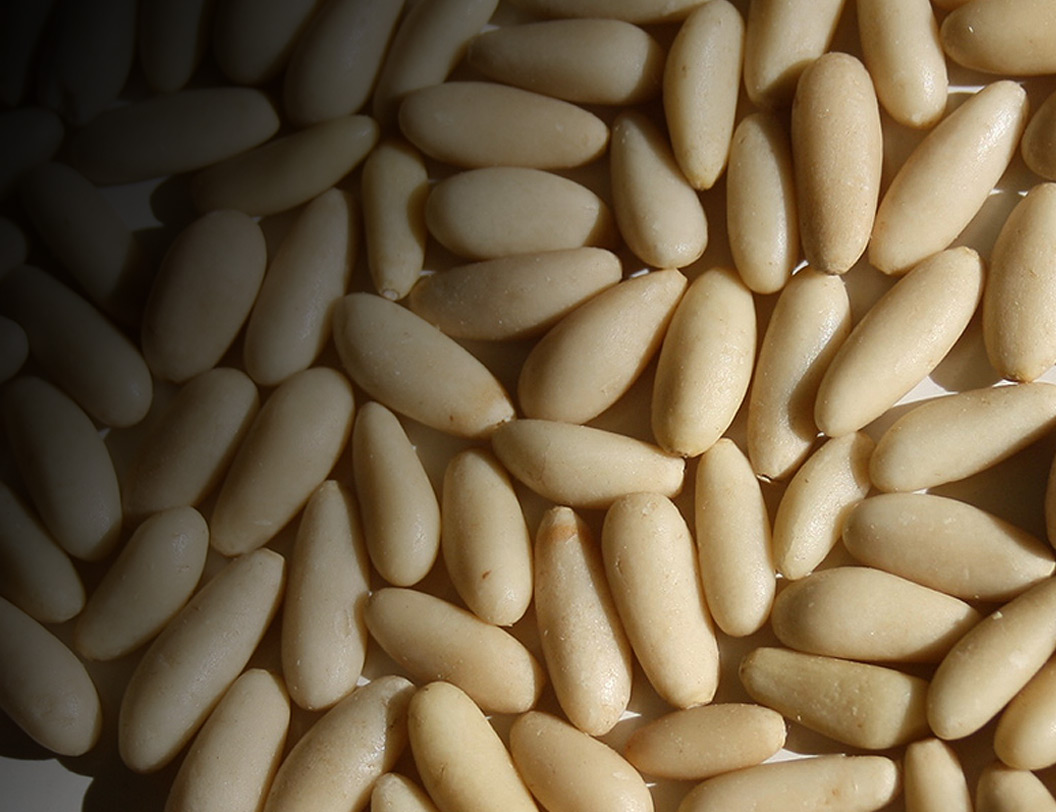 Proyecto IMFOREST bioeconomía forestal