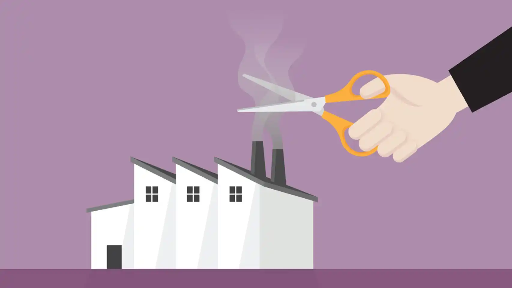 Transición ecosocial decrecimiento movimiento ecologista