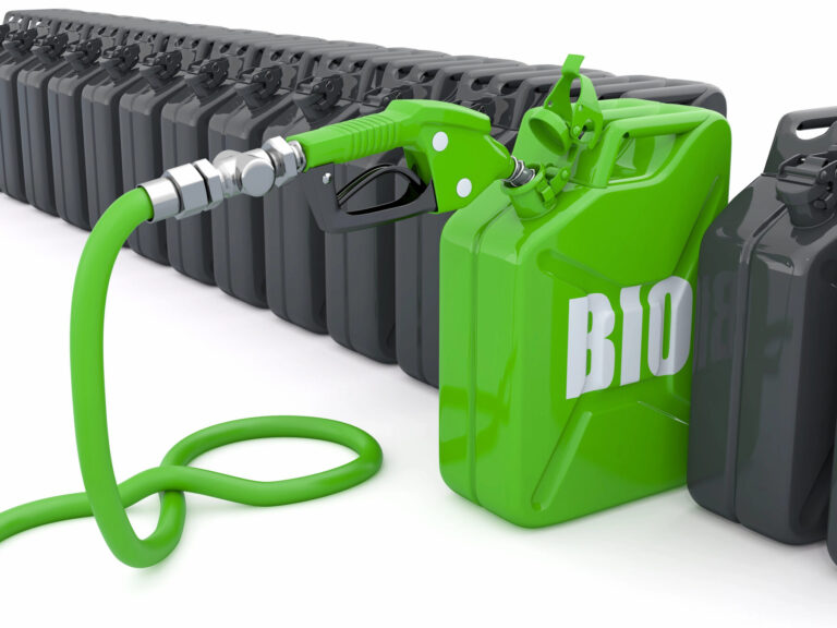 Bioenergía biogás biocombustibles UE informe