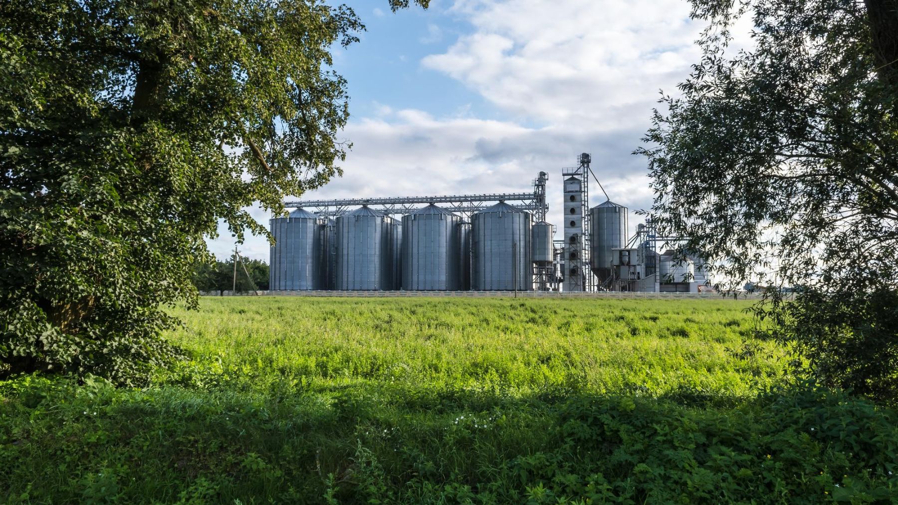 Combustible hidrogeno