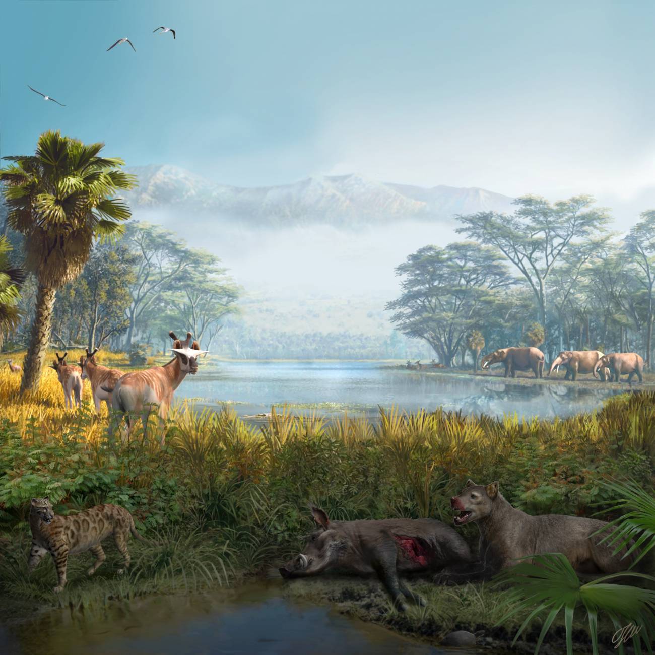 Depredadores península ibérica presas