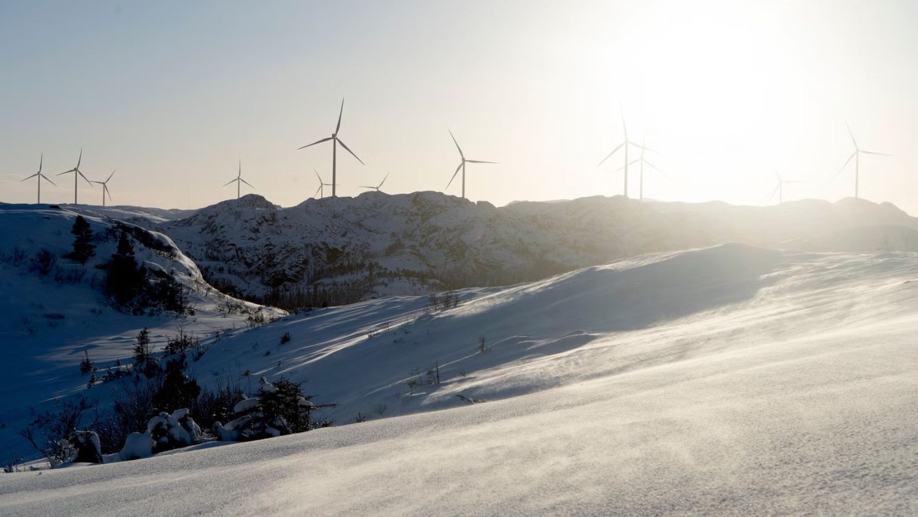 Parque eolico Europa