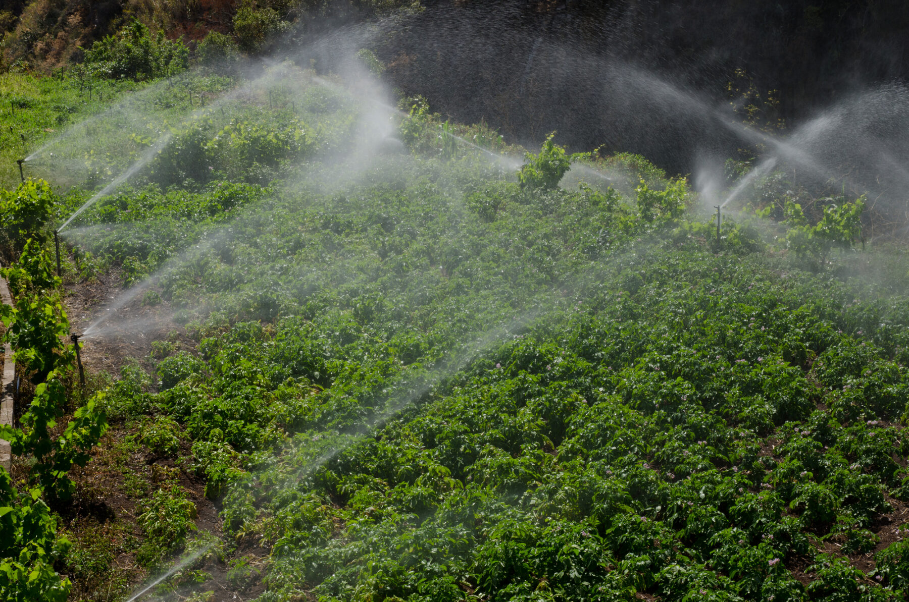 Planificacion hidrologica canarias